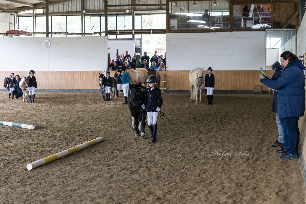 Bild 61 - Pony Akademie Turnier